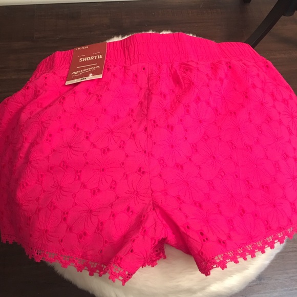 Arizona Shortie Eyelet Shorts🌸 - Picture 3 of 4